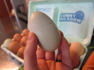 Pinhead egg