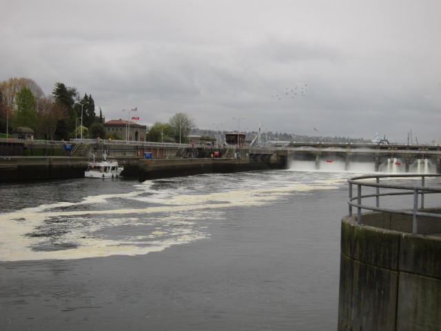 Distant view of fish ladder