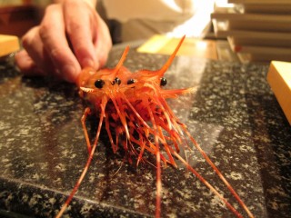 Shiro's shrimp heads