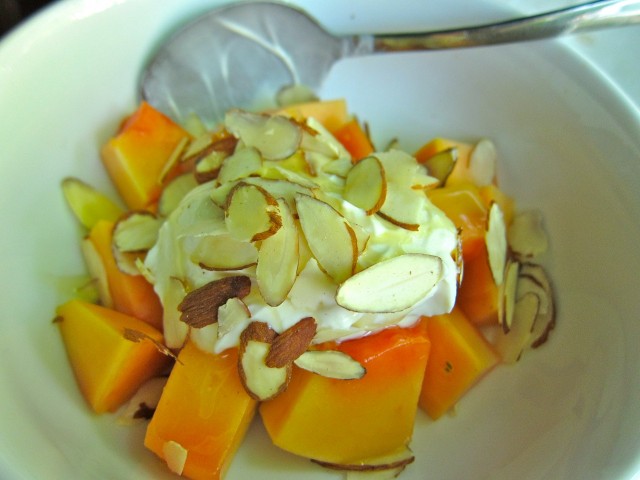 Papaya and yogurt bowl 2