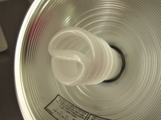 CFL bulb in lightbox