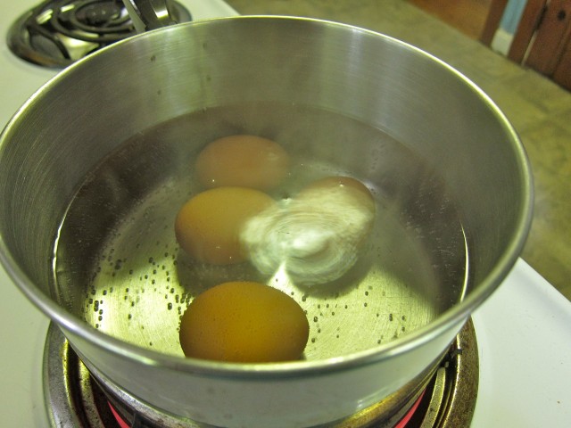 Eggs coming to a simmer