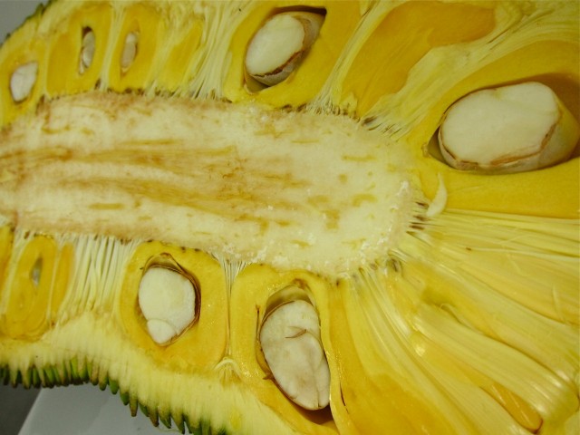 Jackfruit closeup