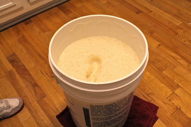 Frothy beer wort