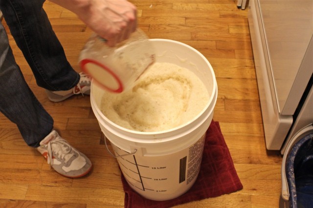 Pitching the yeast