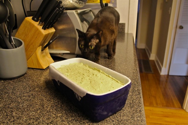 Liam sniffs a semifreddo