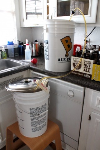 Siphoning beer