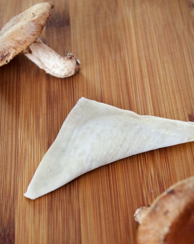 Folded shiitake wonton